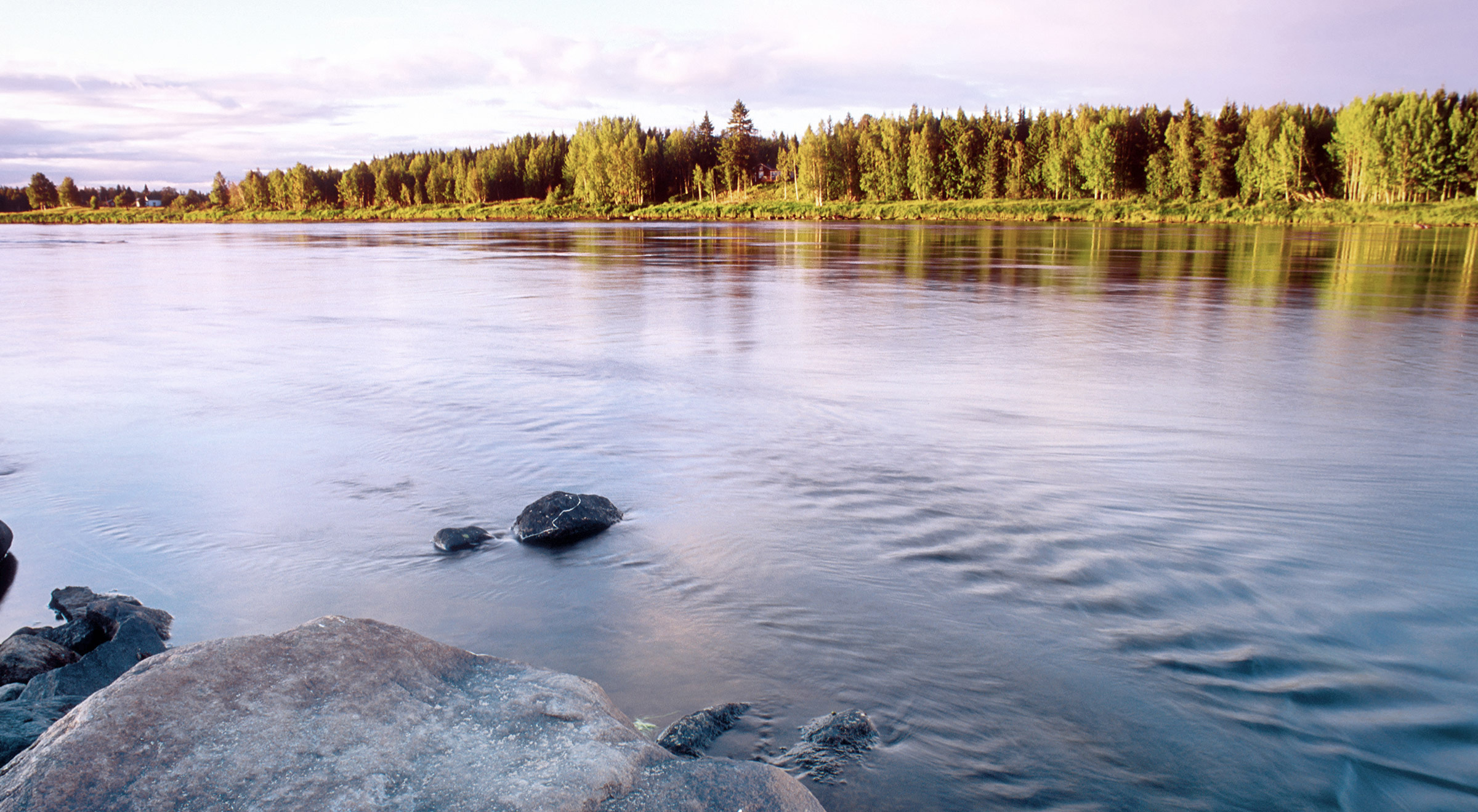 Little streams article image