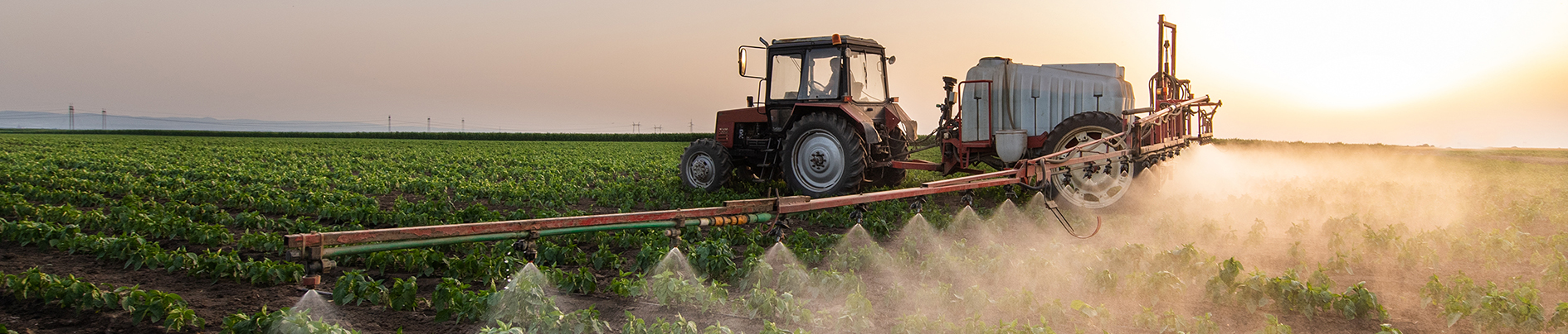 Tractor spraying pesticides on vegetable field with sprayer at spring